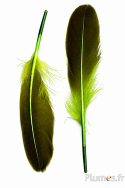 Anatra - 18-20 cm, sinistra e destra - lime-nero